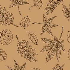 vector silhouette of various leaves N4