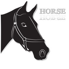 Horse head in black and white vector