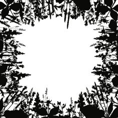 floral frame from silhouettes of flowers and grass N2