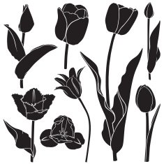 Tulips silhouette set N2