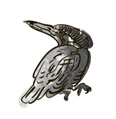 Vector sketch of bird watercolor