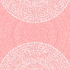 Background with abstract floral lace ornament N6