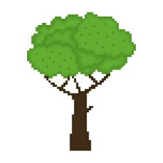 Tree isolated on white background