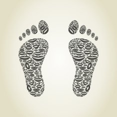 Foot a lip