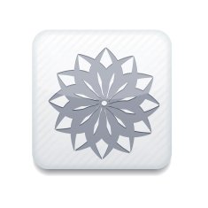 Vector white Snowflake icon Eps10 Easy to edit N3