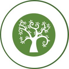 Cartoon Big Tree With White Banner