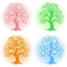 Tree in different seasons