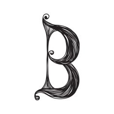 The vintage style letter B
