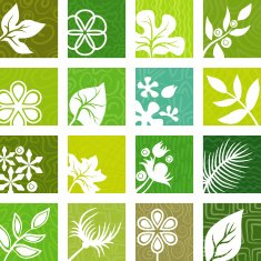 Natural icons N8