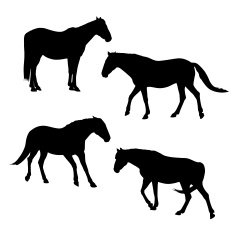 horses silhouettes set N3