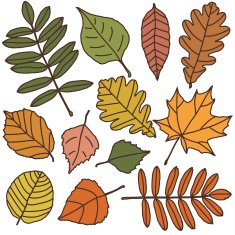 Autumn leaves set N3
