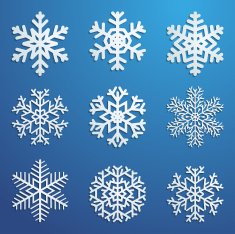 Set of snowflakes N21