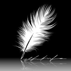 Quill Pen N10