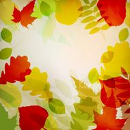 Autumn background with leave N3