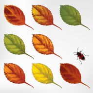Set of colorful autumn leaves hand-drawing Vector illustration