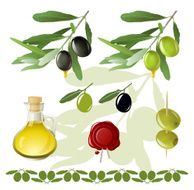 Olives Set N2