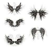 spread wings