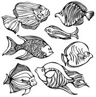 fish silhouettes N12