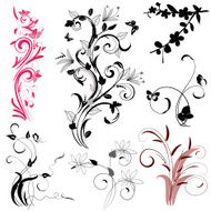 set of plant patterns N2