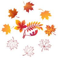 autumn leaves N100