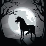 Black horse in the moonlight