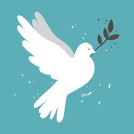 White Dove N11