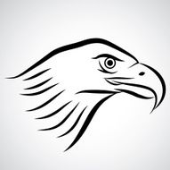 Eagle N44
