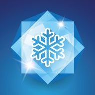 Snowflake Vector N5