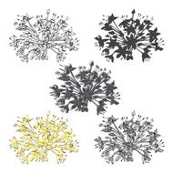 Set of abstract flowers isolated on white background