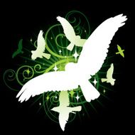 Soaring birds N2