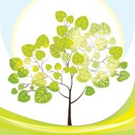 green tree sunny day vector illustration