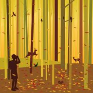 autumn forest N9