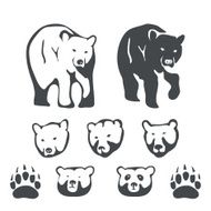 Set of bears for emblems and labels