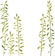 Silhouettes of flowers and grass N70