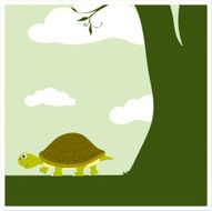 Turtle Path
