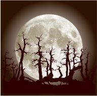 Forest and Moon