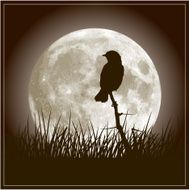 Full Moon and Nightingale Bird