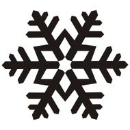 snowflake black