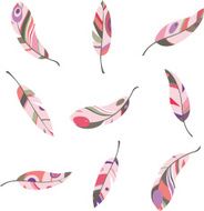 multicolored feathers on a white background