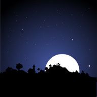 village skyline at night