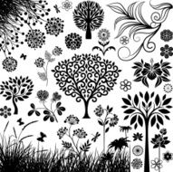 Botany collection N3