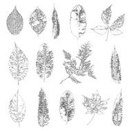 Leaf silhouette collection foliage set N6