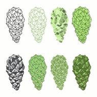 Vector set of isolated cones on a white background