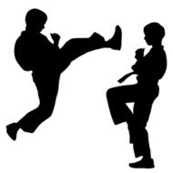 black silhouettes of karate N2