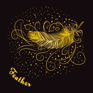 Decorative feather with curls on a dark background