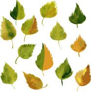 set of silhouettes by leaves in watercolor N10