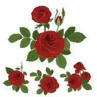 Pink roses bouquet with leaves N4