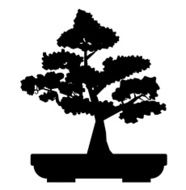 Black bonsai plant vector