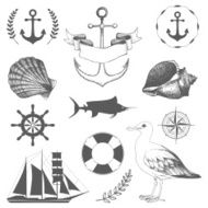 Decorative sea elements and vintage hand drawn illustrations