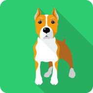 dog Amstaff icon flat design N2